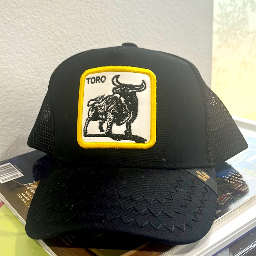 Mexican Bull hat from Feria de San Marcos